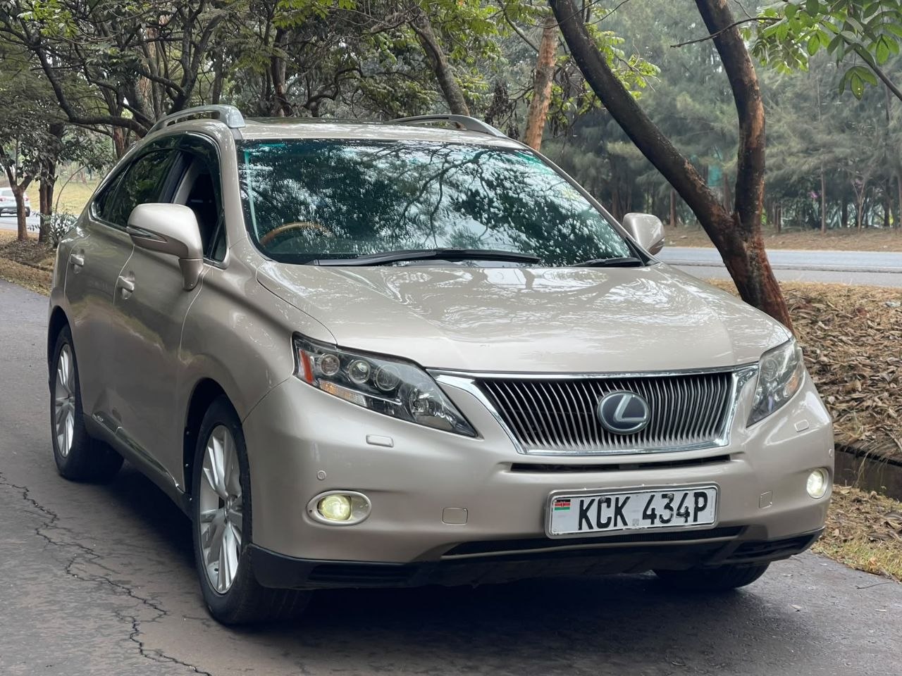 2010 Lexus RX450h