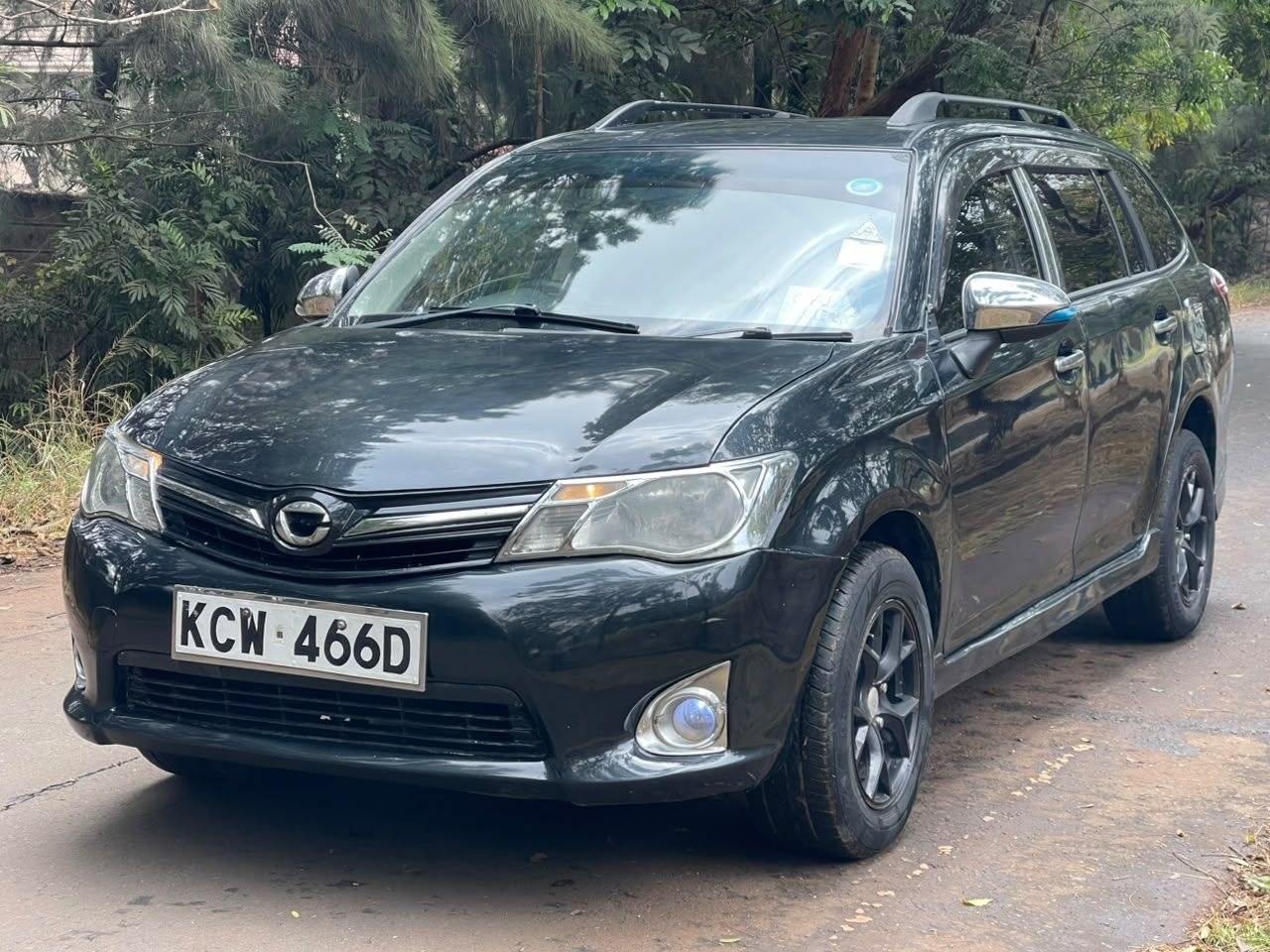 2013 Toyota Fielder
