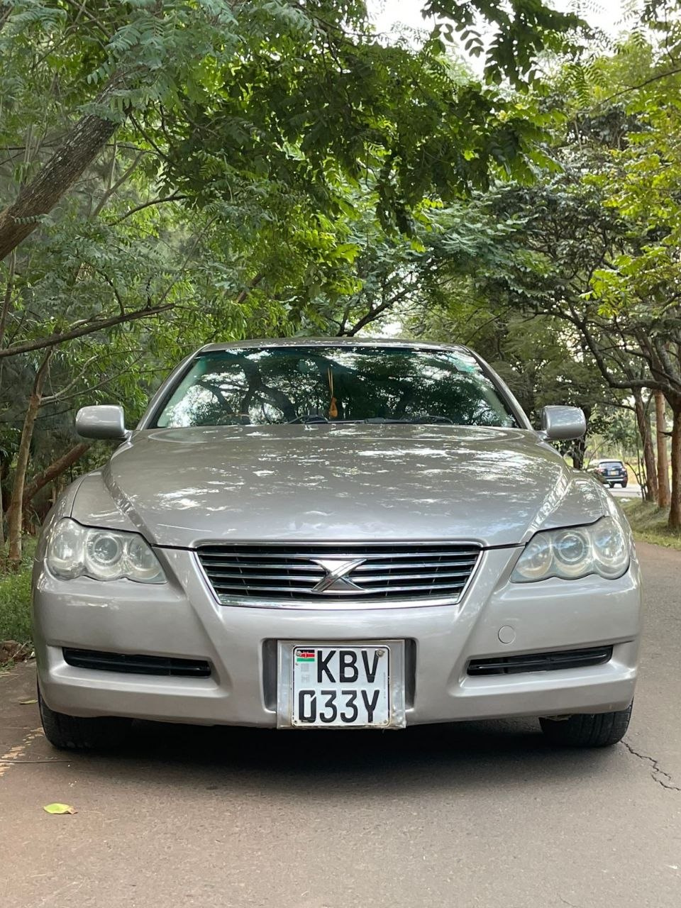 2007 Toyota mark x